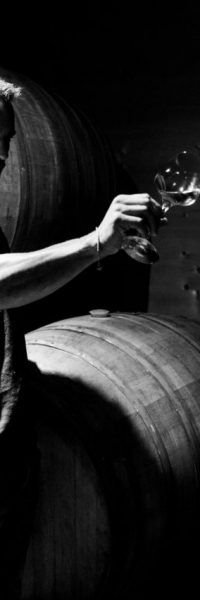homme qui déguste du vin devant des barriques