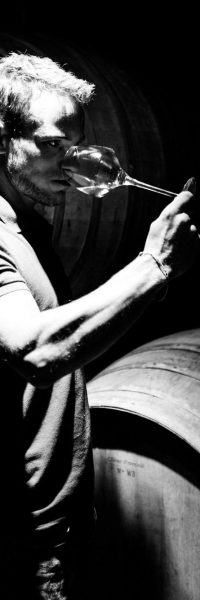 homme qui déguste du vin devant des barriques