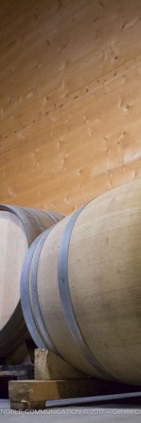 photo de barriques