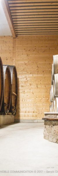 photo du chai avec des foudres, des barriques et un menhir