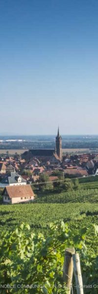 photo d'une grande vigne avec vue sur un village