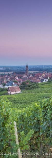 photo depuis une vigne avec vue sur un village médiéval