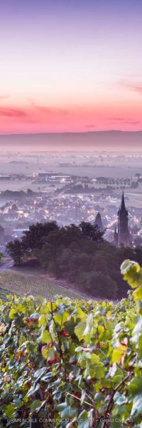photo depuis le haut du vignoble avec vue sur le village et l'église