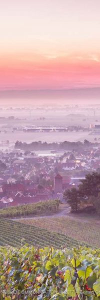 photo depuis une vigne avec un village dans la brume