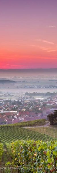photo depuis le haut d'un vignoble au levé de soleil avec vue sur un village