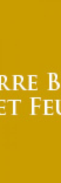 logo restaurant pierre bois et feu