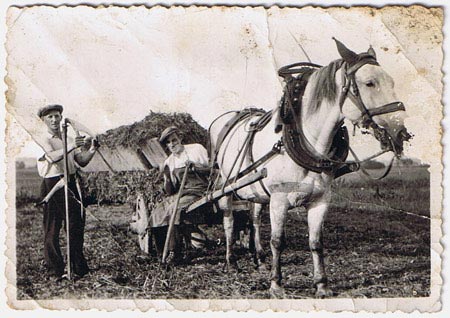 photo d'un cheval avec deux hommes dans les champs