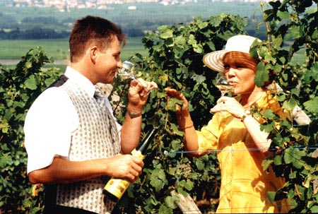 un couple dans les vignes en train de déguster un verre vin