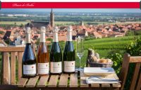 4 bouteilles de Crémant d'Alsace sur une table dans les vignes