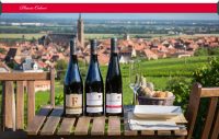 3 bouteilles de vin rouge sur une table dans les vignes