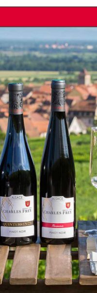 3 bouteilles de vin rouge sur une table dans les vignes