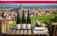bouteilles de vins moelleux sur une table dans les vignes