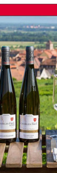 bouteilles de vins moelleux sur une table dans les vignes