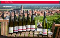 7 bouteilles de vin sur une table dans les vignes