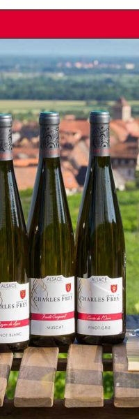 7 bouteilles de vin sur une table dans les vignes