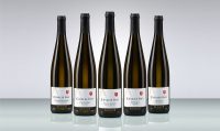 vin blanc alsace