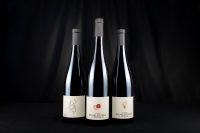 Pinot noir Alsace