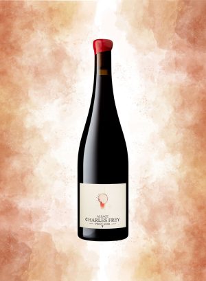 Pinot Noir « F » 2023